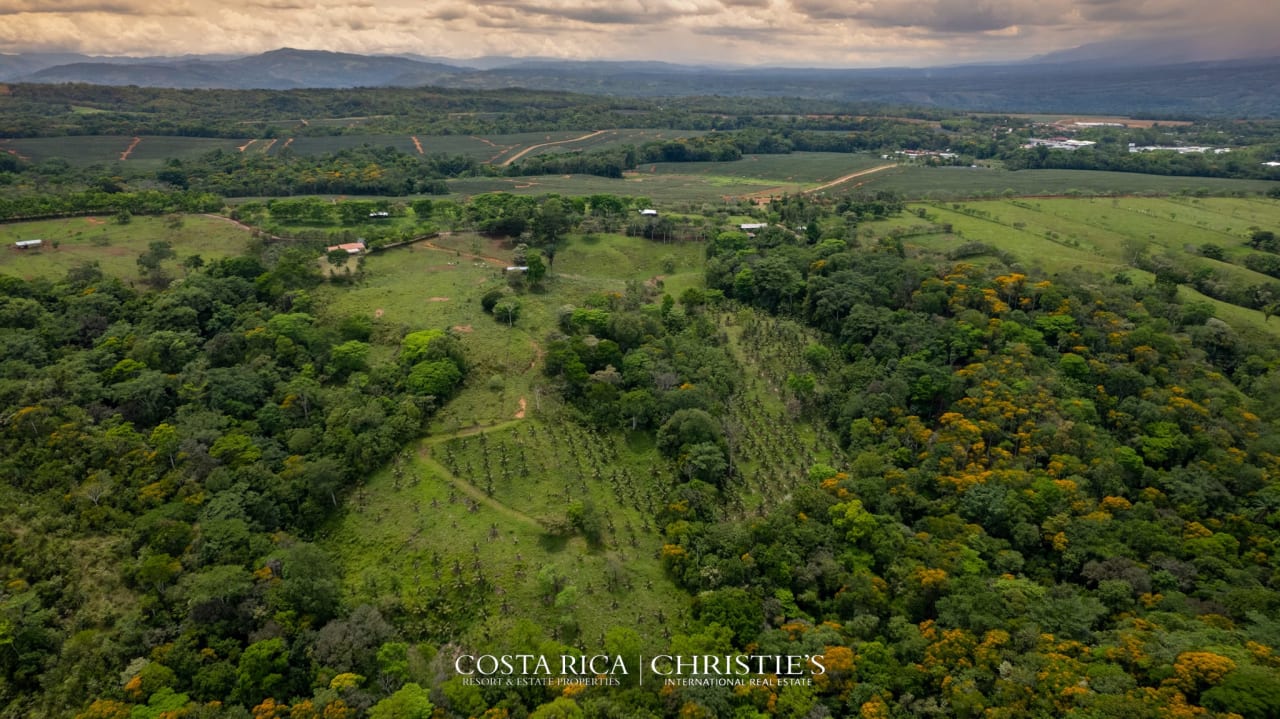 Finca Buenos Aires