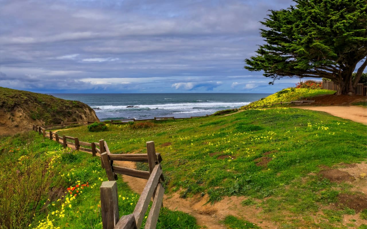 Moss Beach Real Estate Homes for Sale in Moss Beach Stephanie Nash