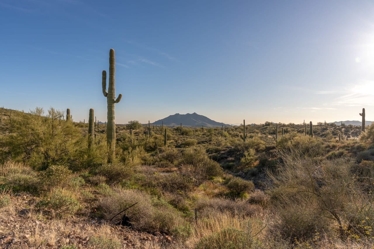 Stagecoach in Continental Mountain Estates in Cave Creek