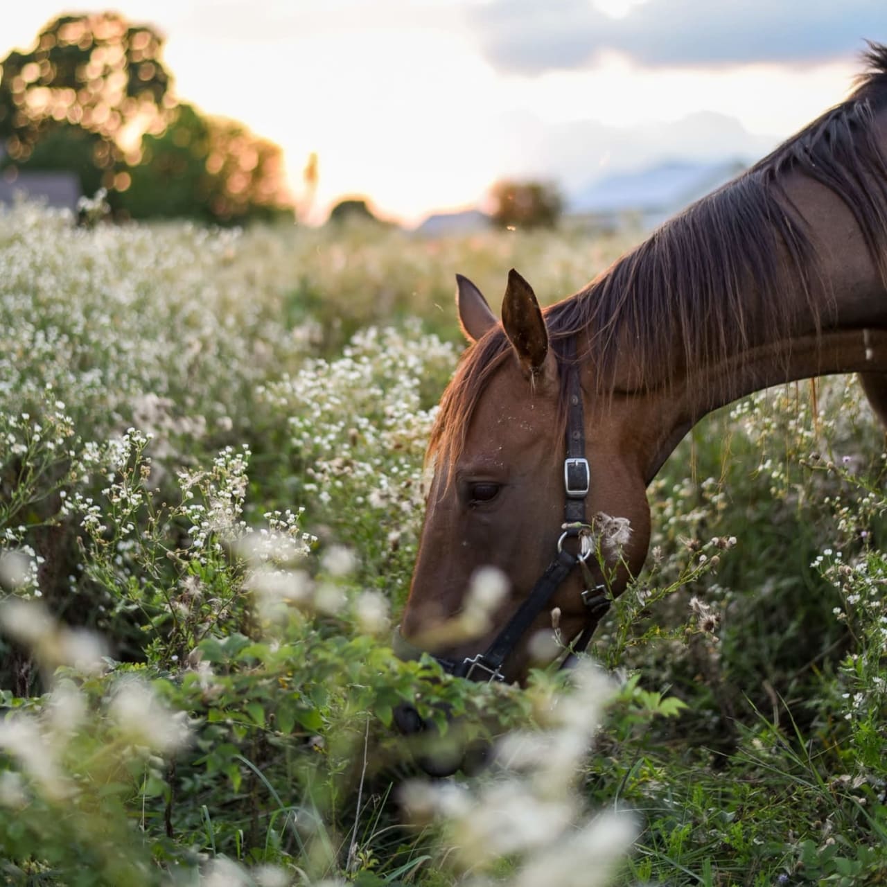 An Early Spring Awaits: Unveiling New Beginnings in the Real Estate Market