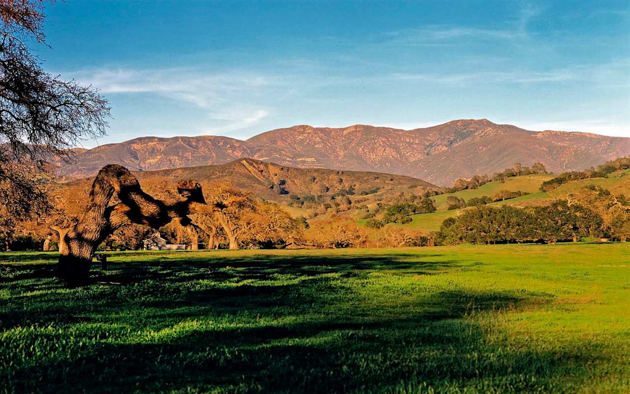 Carey Kendall Santa Ynez Real Estate Agent