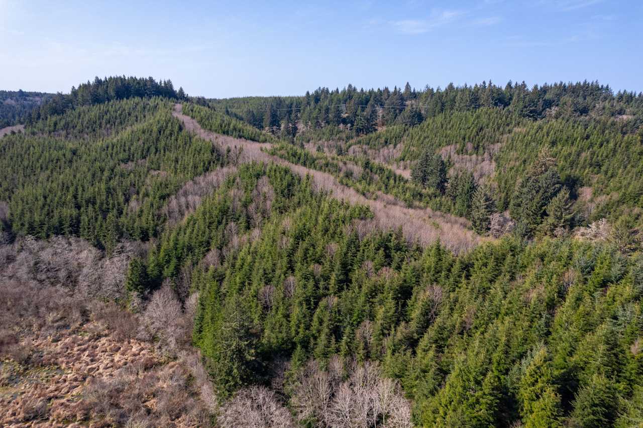 S Beaver Creek RD Unit TL100