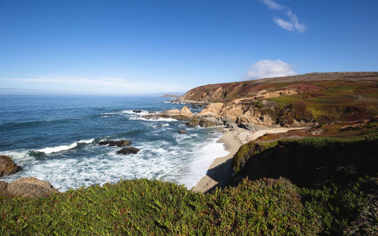 Top Sonoma Coast Real Estate Agents