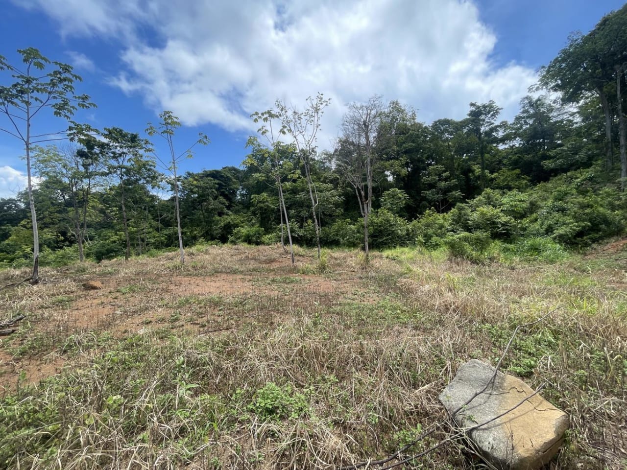 15.9 ACRES – Ocean View Development Property With Legal Water, Public Road, 5 Min From Highway!