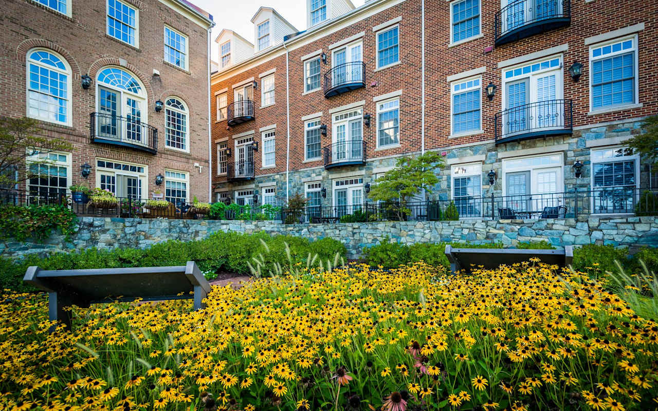 Alexandria Homes For Sale Vassar Broermann Group