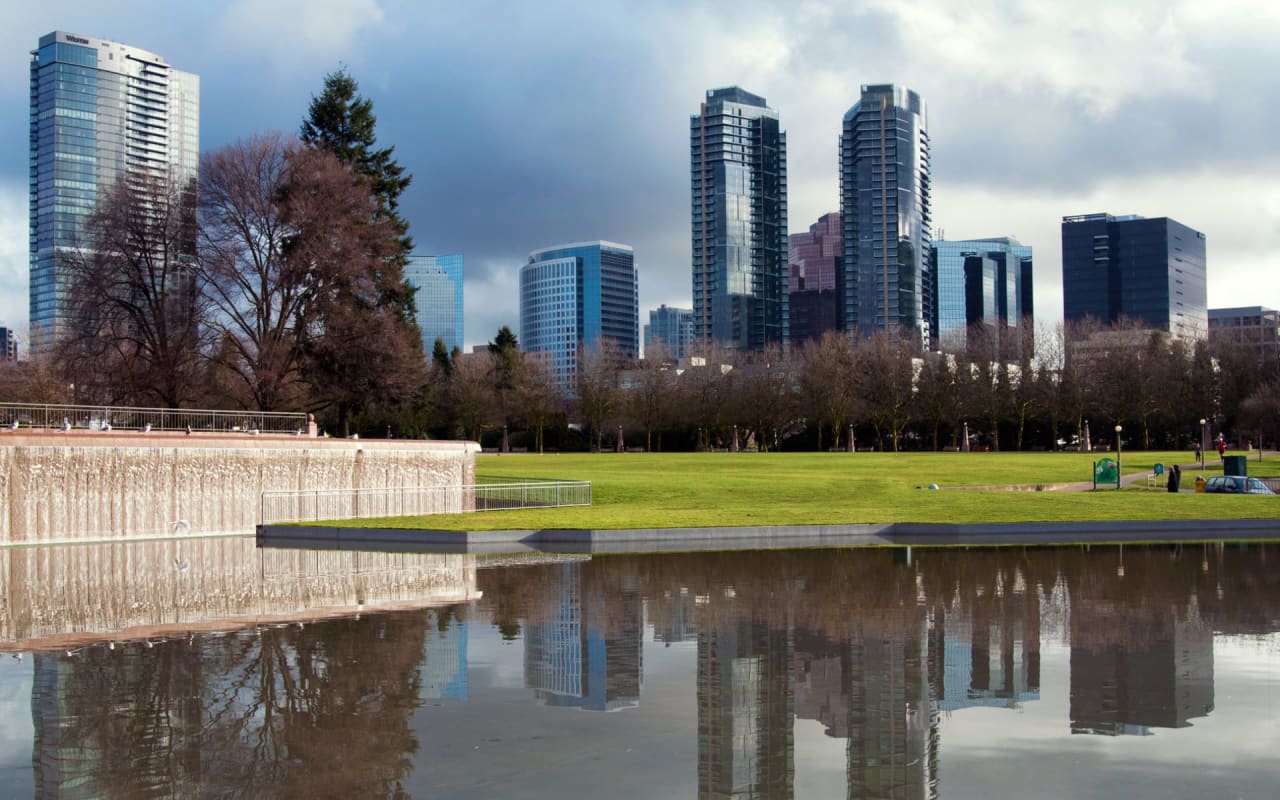Bellevue Downtown Park Fireworks