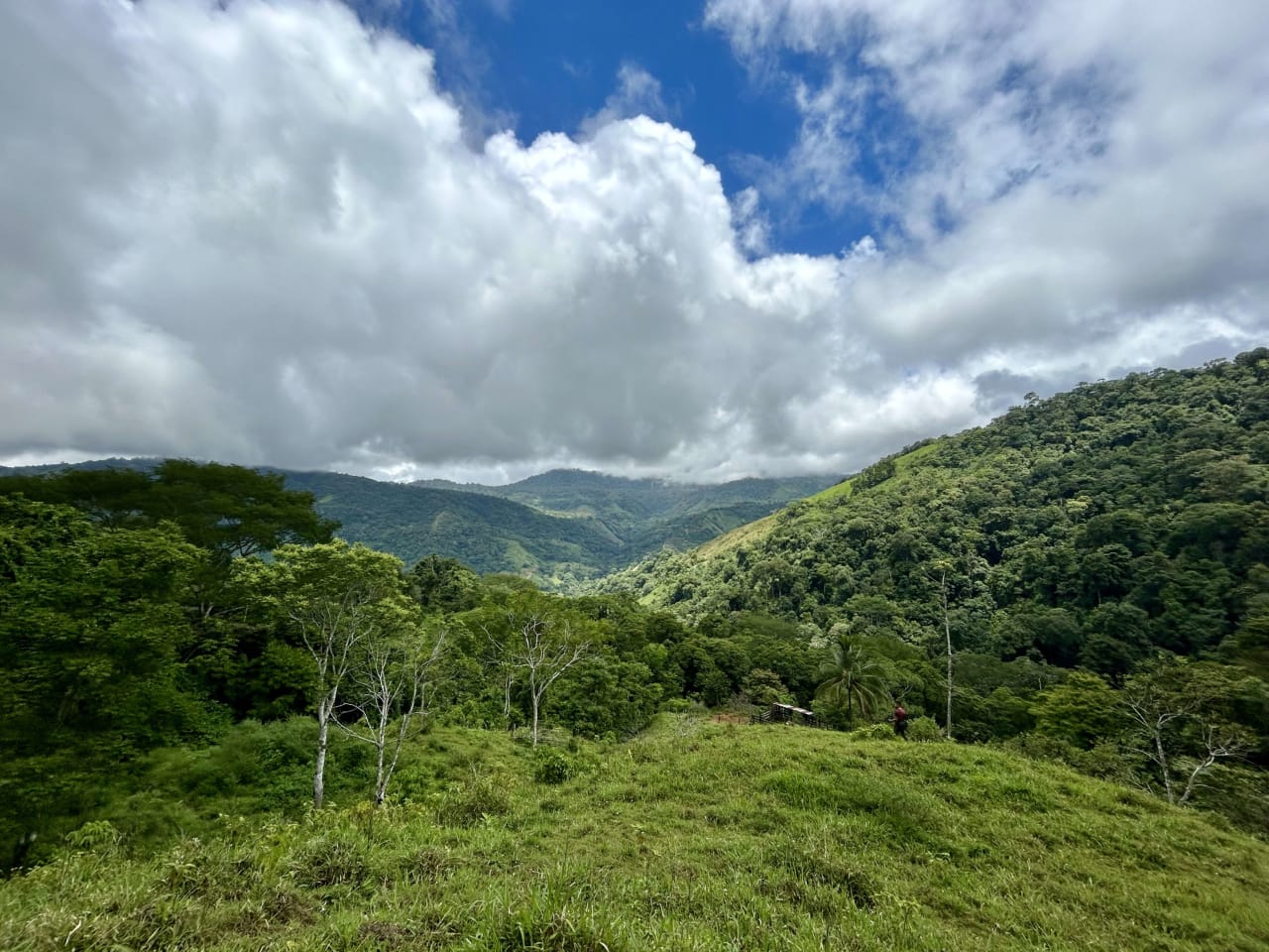 Over 123 Acres Farm in San Josecito De Morete, in Uvita Mountains