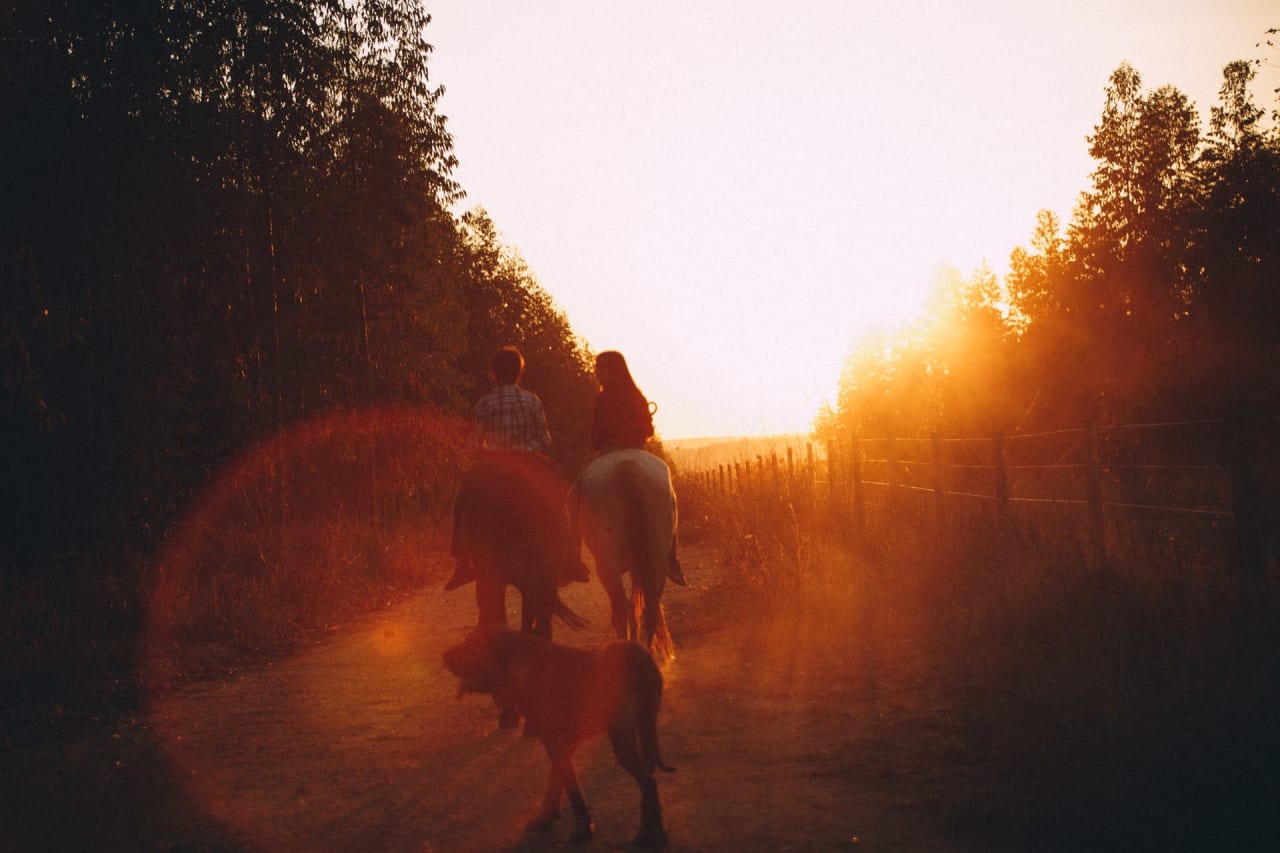 Horseback Riding near Carmel-by-the-Sea