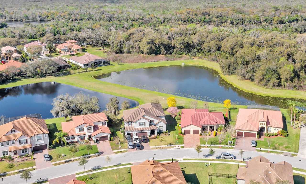 Testimonials Lively Real Estate