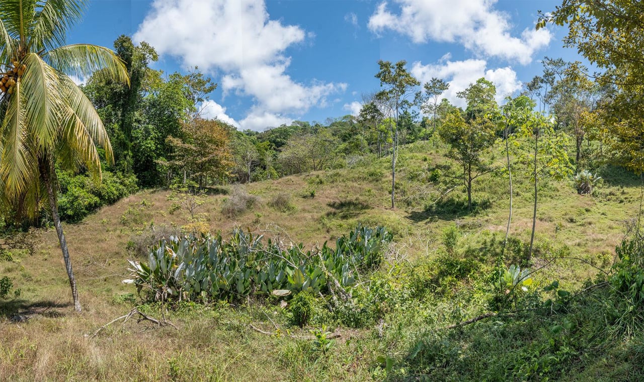 Prime Ocean View Development Land In Uvita