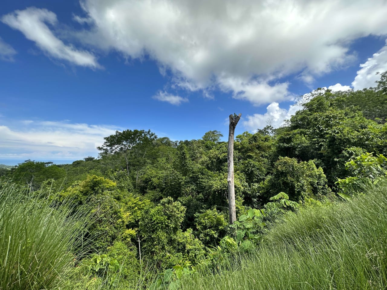 Gorgeous Ocean and Mountain Views in a Tropical Gated Community Ojochal 