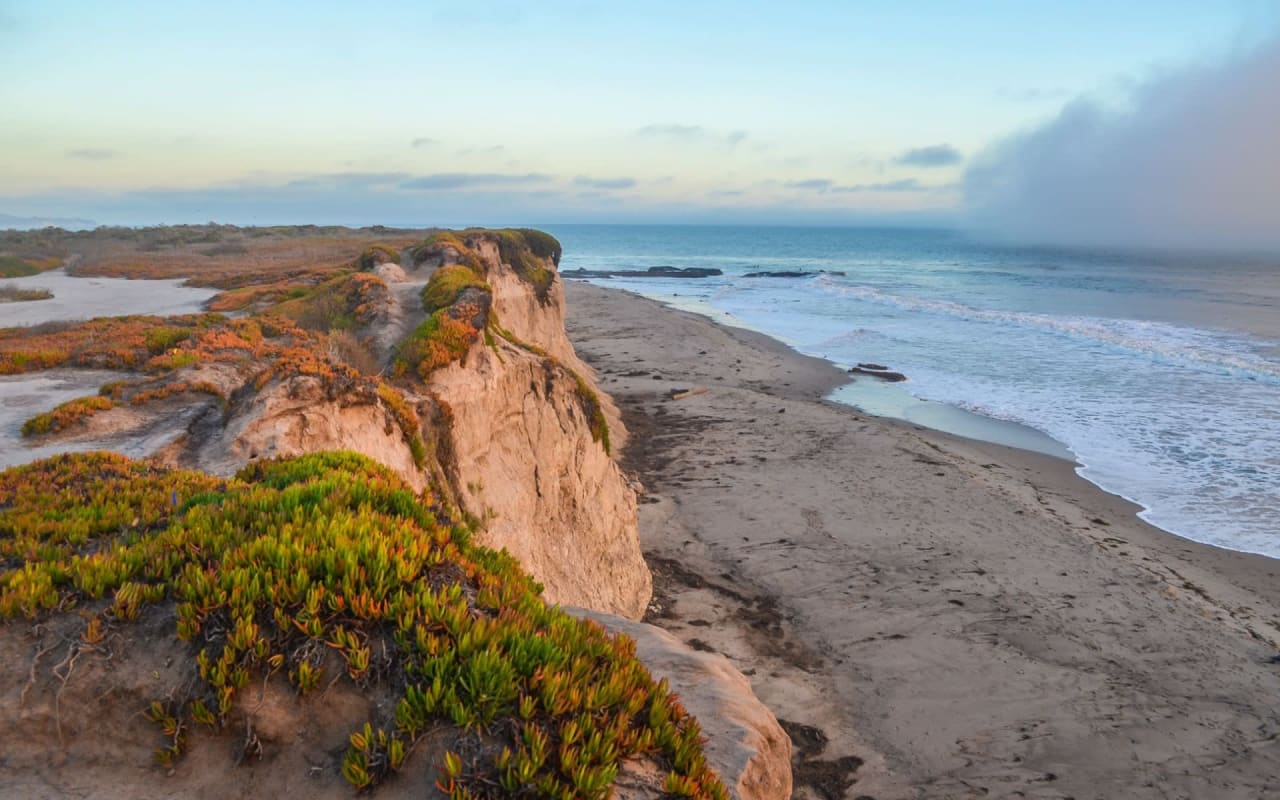 Tanner Estates San Francisco Bay Area Real Estate