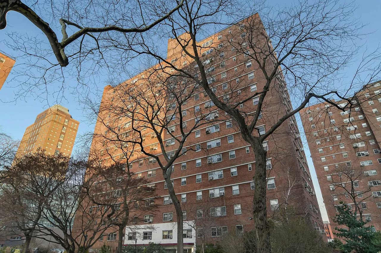 195 Adams Street 11F New York City Ivey North David Askew