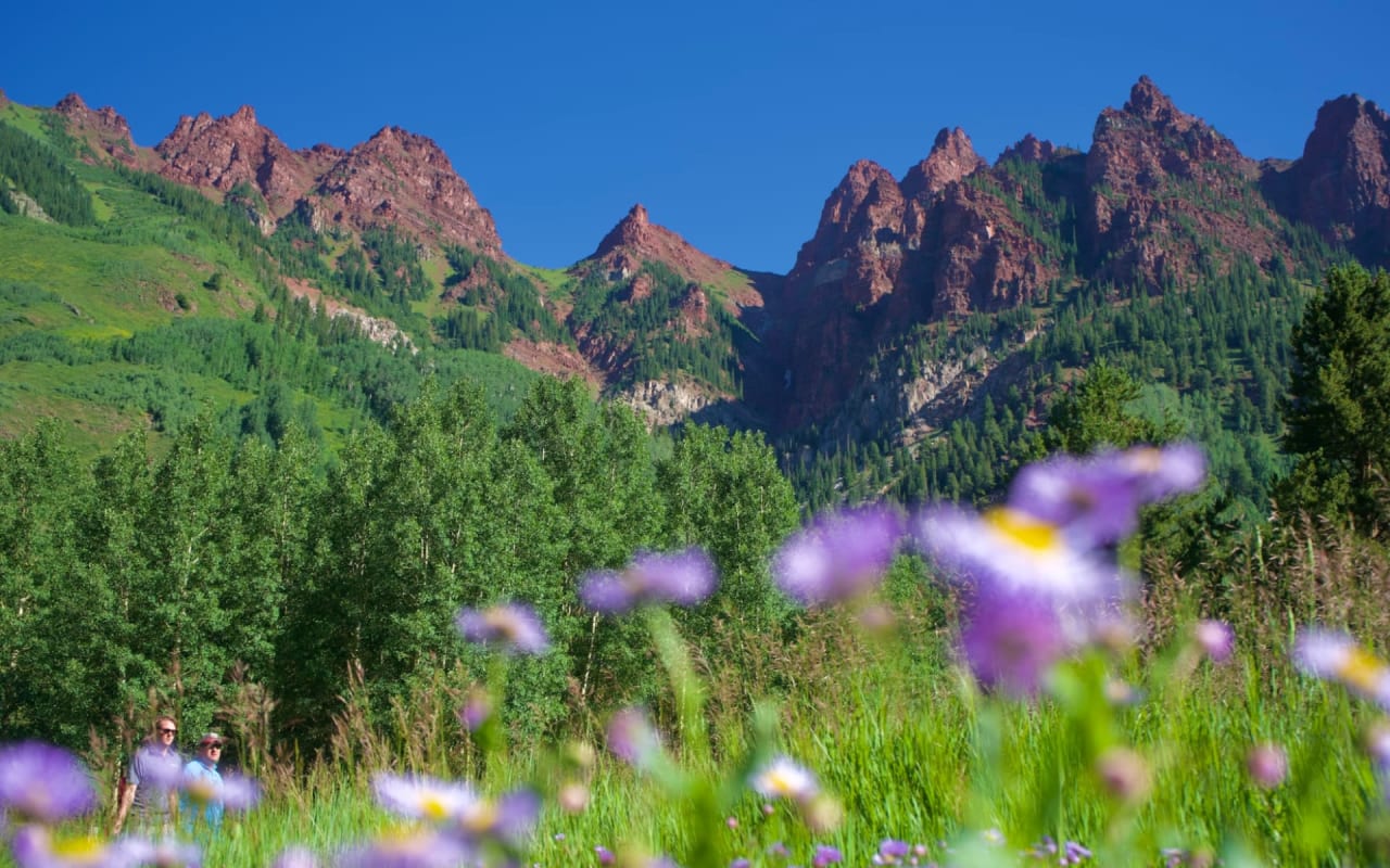 Luxurious Retreats in Old Snowmass: Accommodations