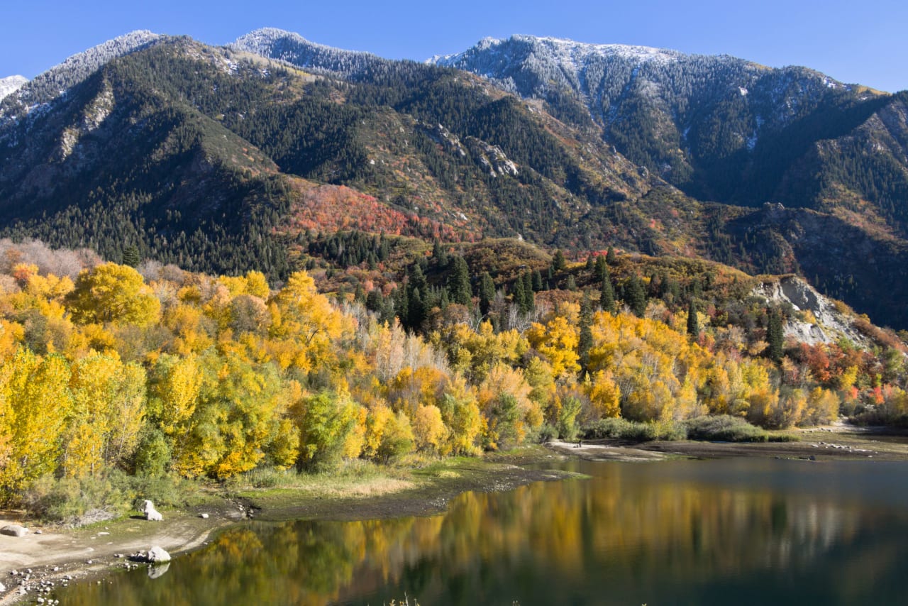 Burton Realty Group Salt Lake City Real Estate Agents