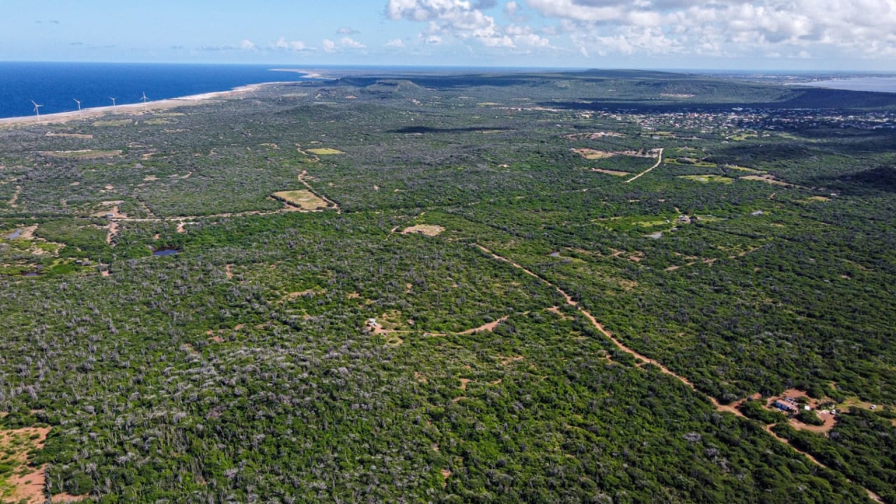 BES Islands Real Estate Bonaire Land For Sale Investment