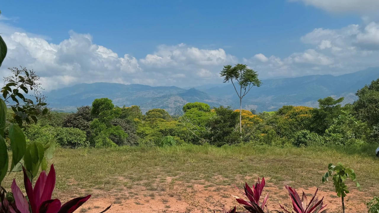 2 Acres of Paradise in Platanillo with Legal Water.