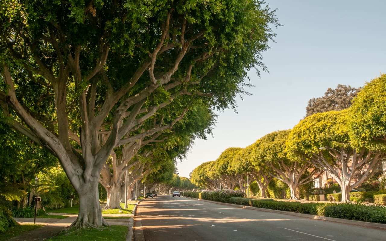 Beverly Hills LA Neighborhood Guide - Compass