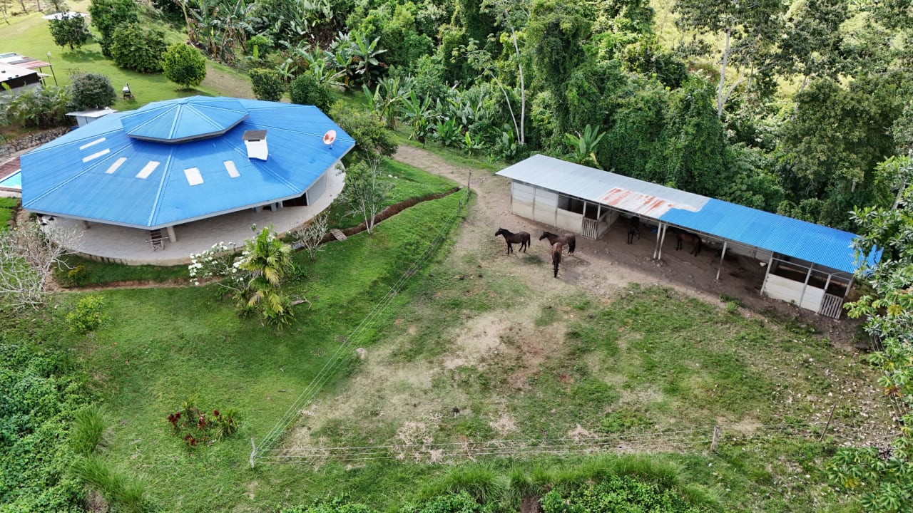 Finca Río General in Santa Luisa