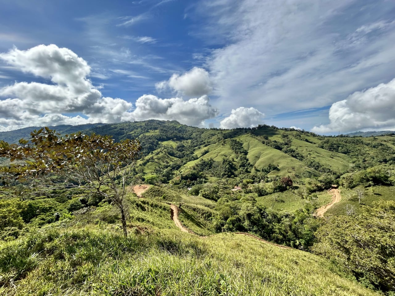 45 Acres Development Farm in San Luis with two Existing Homes 