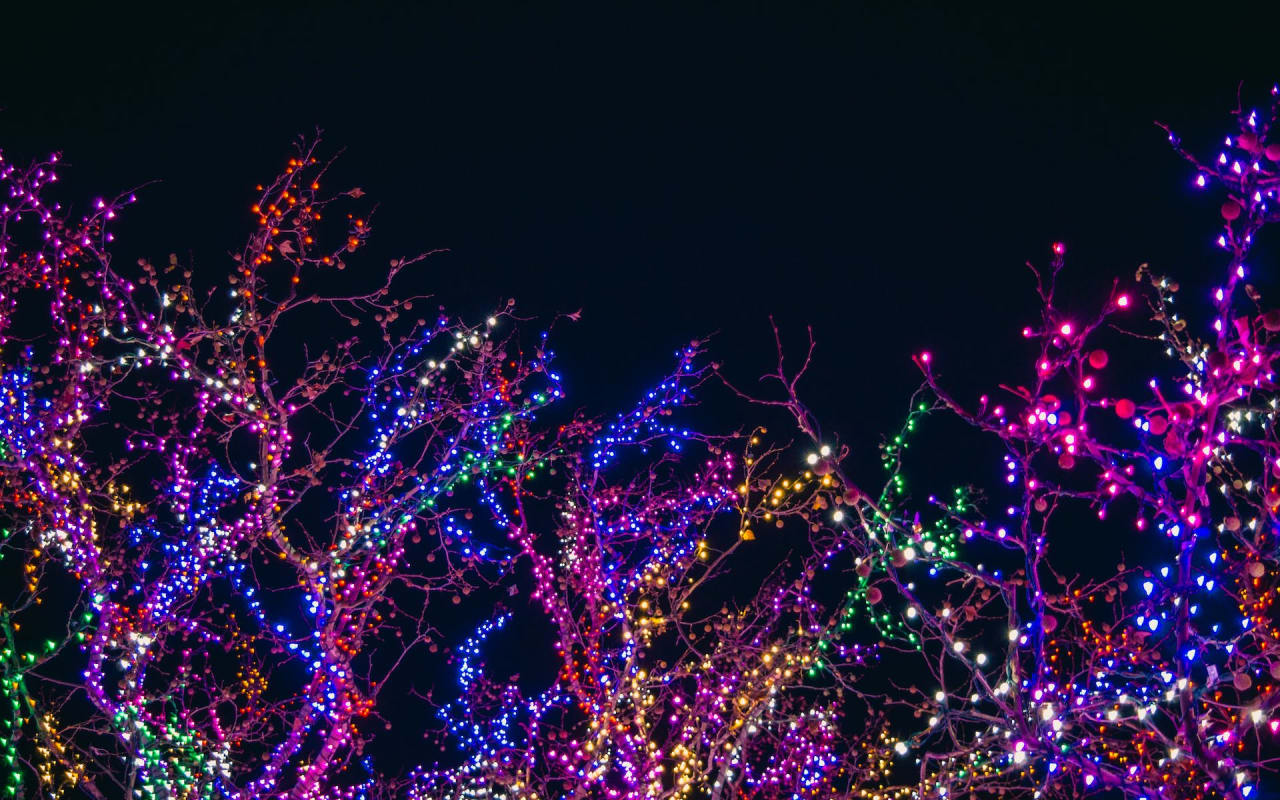 Collin County Christmas Light Displays