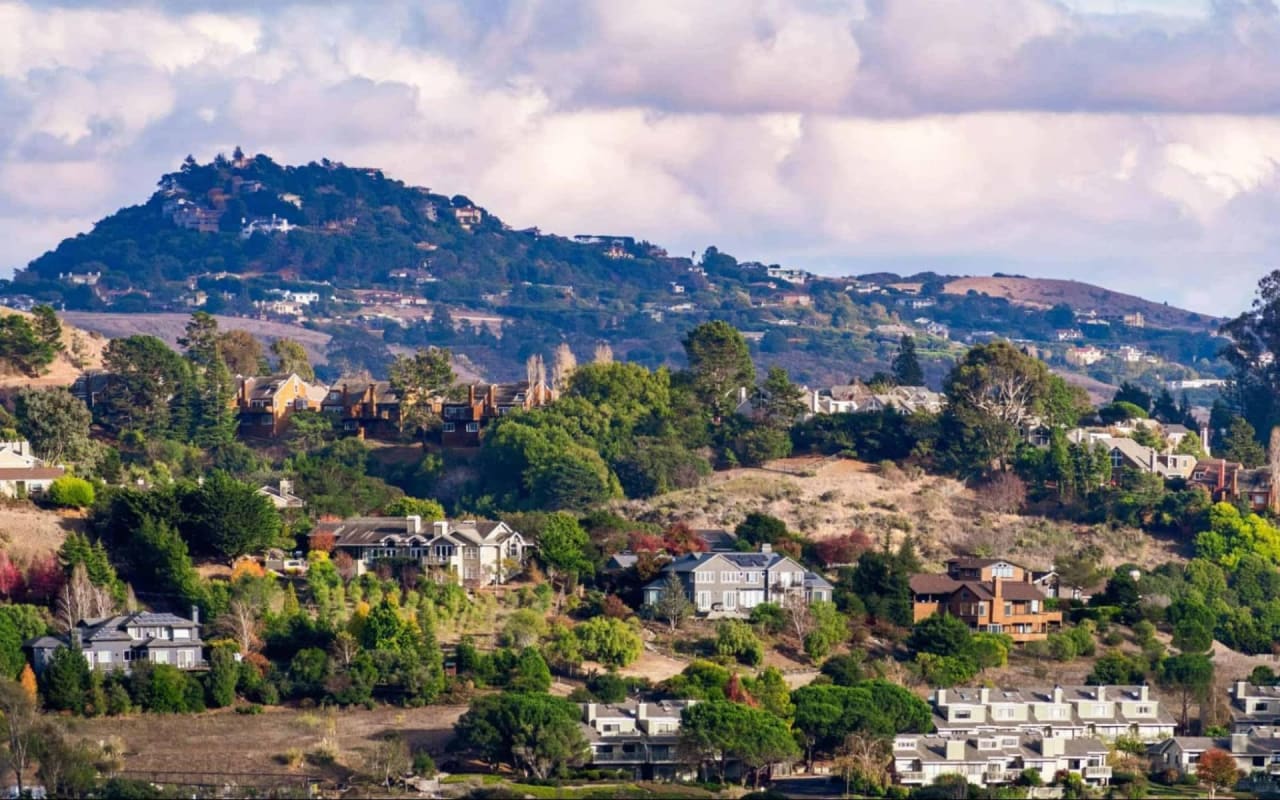 Ronda Priestner’s Complete Home Buying Guide for Mill Valley