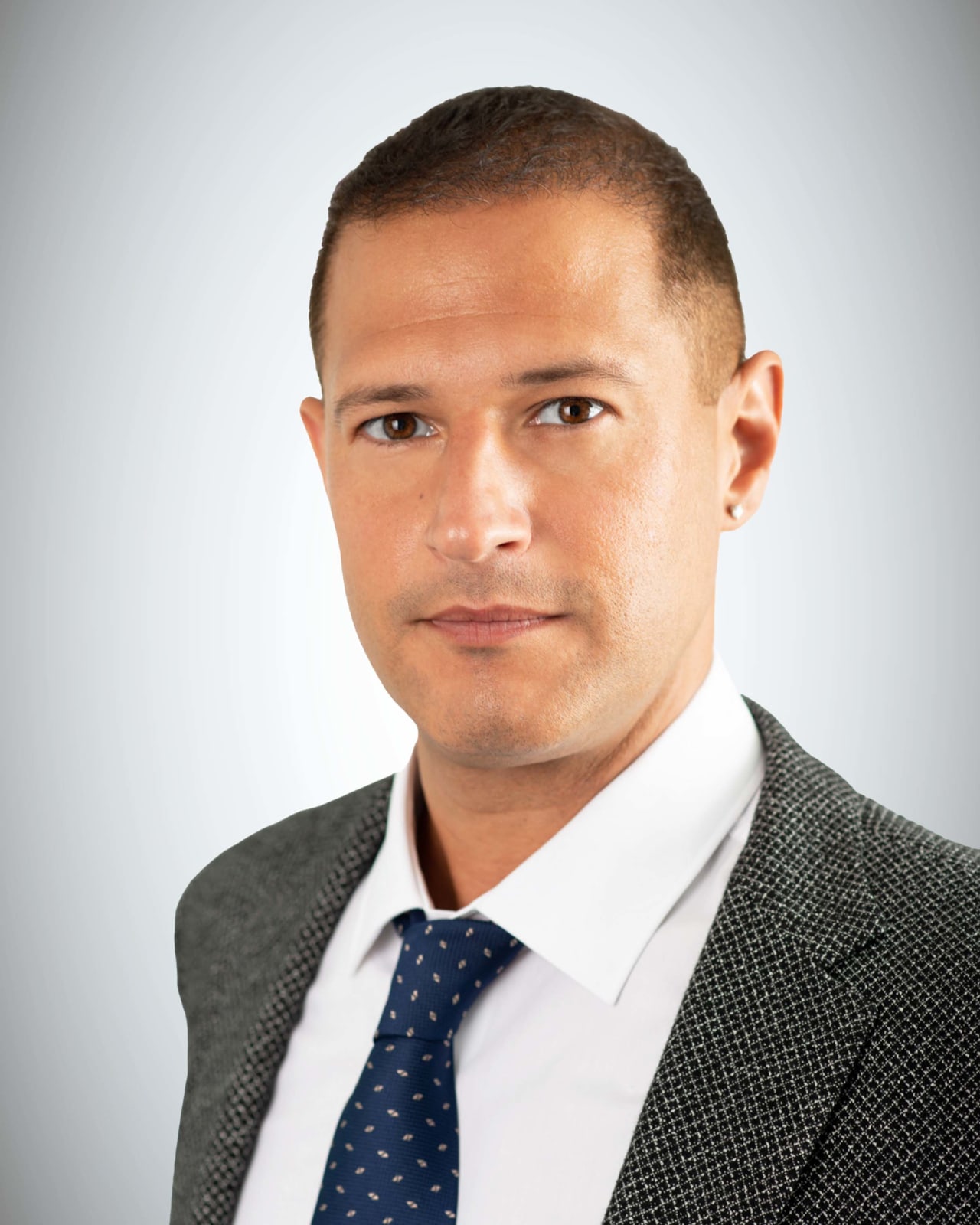 About Stephen Levy Forest Hill Yorkville Toronto Real Estate Team