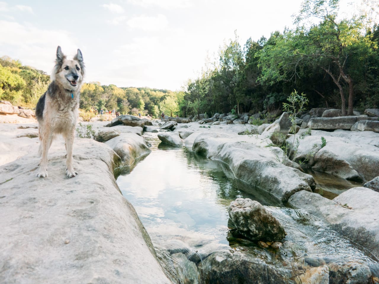 Northwest Austin 