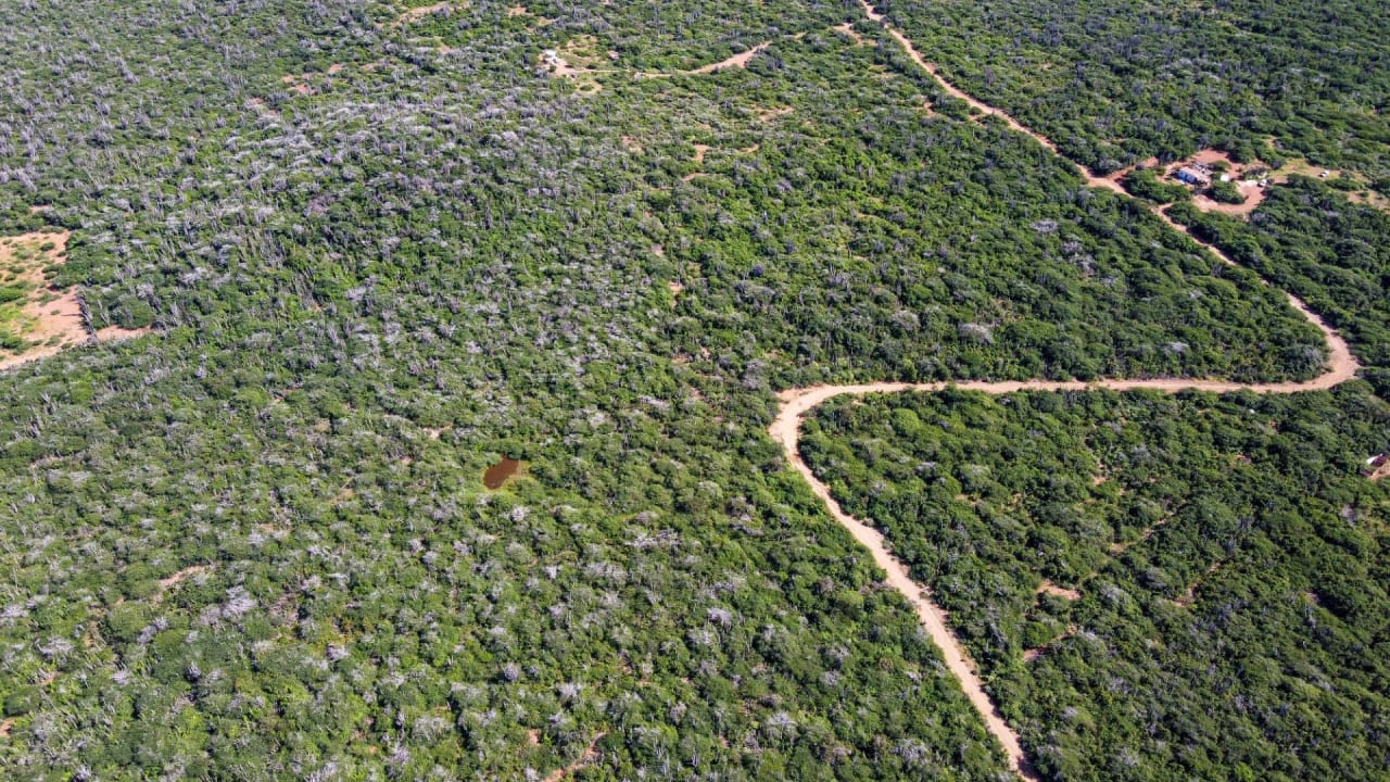 BES Islands Real Estate Bonaire Land For Sale Investment