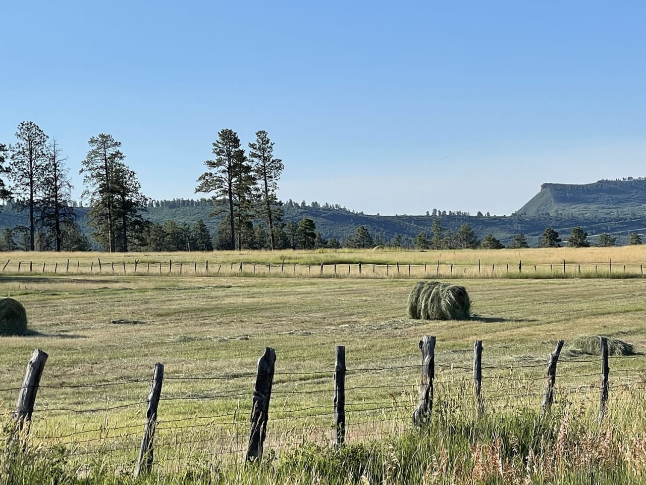 Ultimate Guide to First-Time Homebuying in Mancos, CO