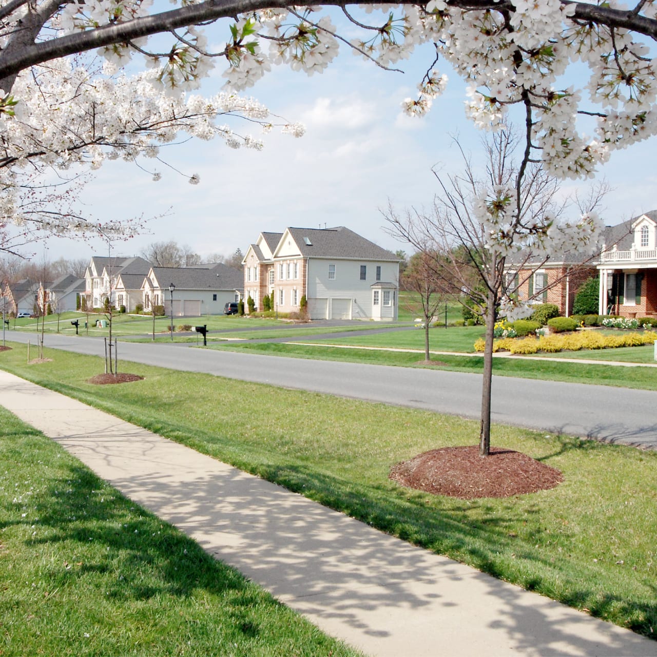 Hampshire Greens, MD