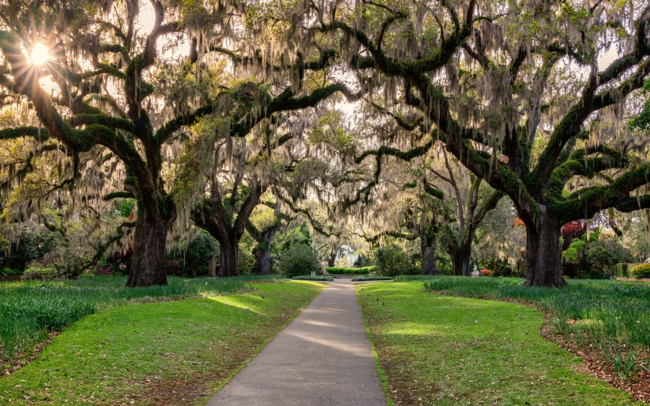 Ashley River Historic District / East Edisto