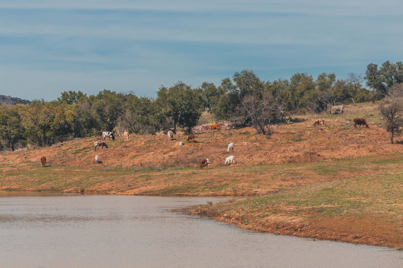 Cuatro Colinas Ranch