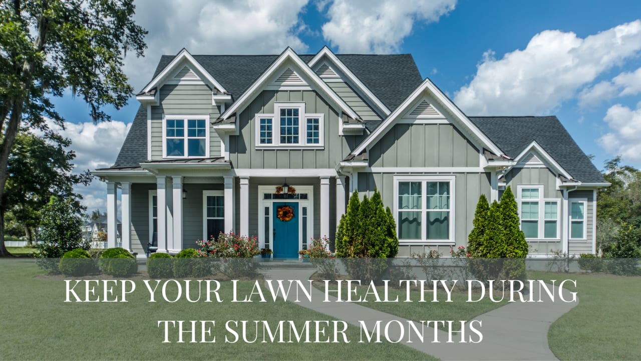 Keep Your Lawn Healthy During the Summer Months