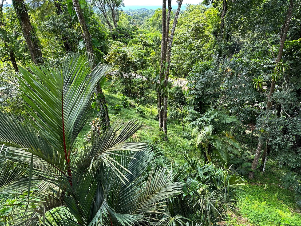 Jungle, Rivers, a Waterfall and Panoramic Ocean View with Easy Access Close to All Amenities!