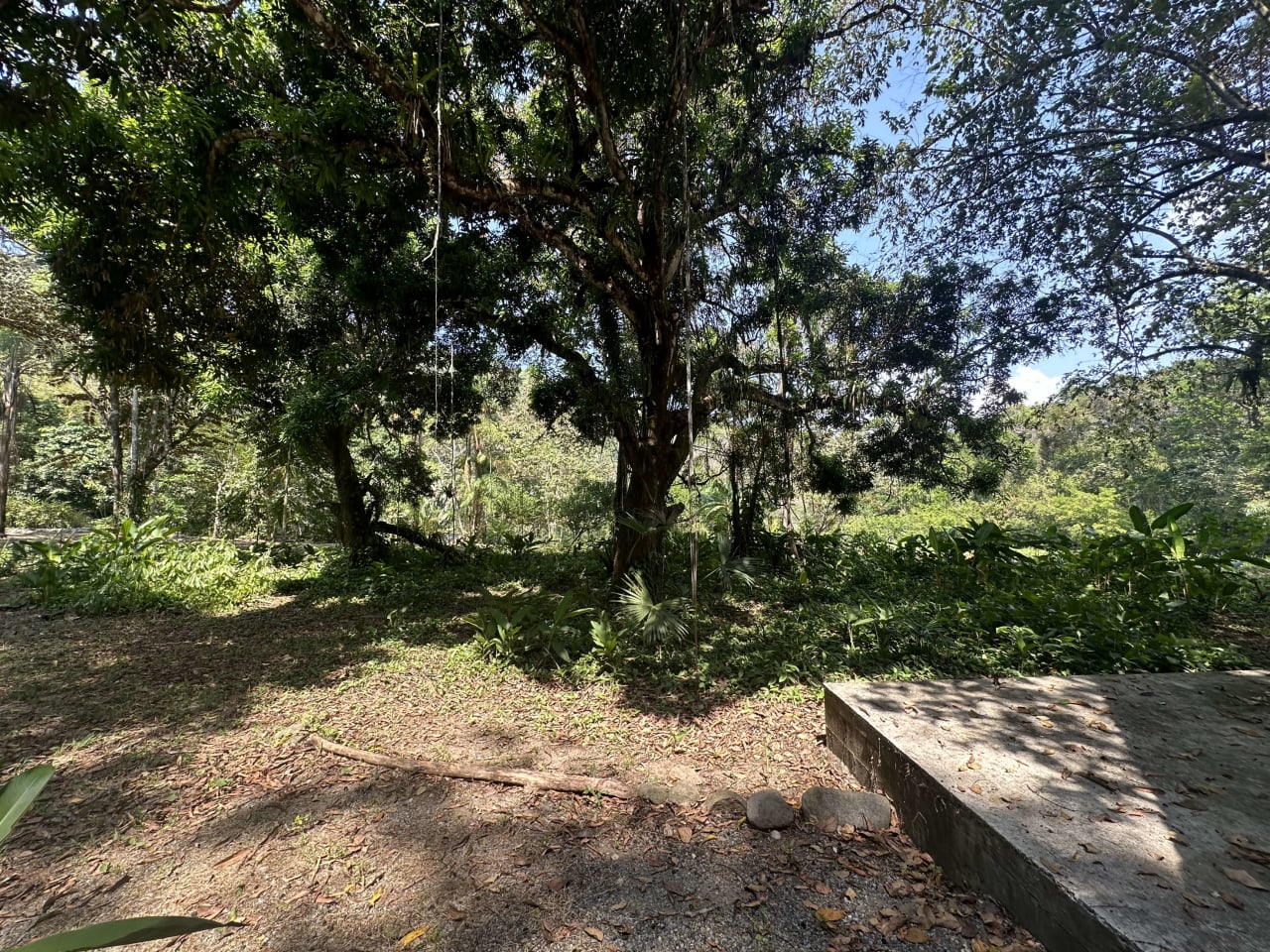 INVESTMENT OPPORTUNITY IN PLATANILLO – YOUR FIXER-UPPER DREAM WALKING DISTANCE TO NAUYACA WATERFALL