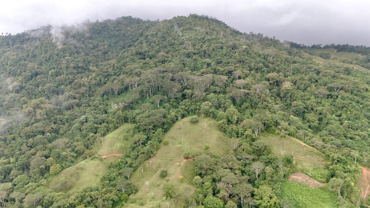 Over 123 Acres Farm in San Josecito De Morete, in Uvita Mountains