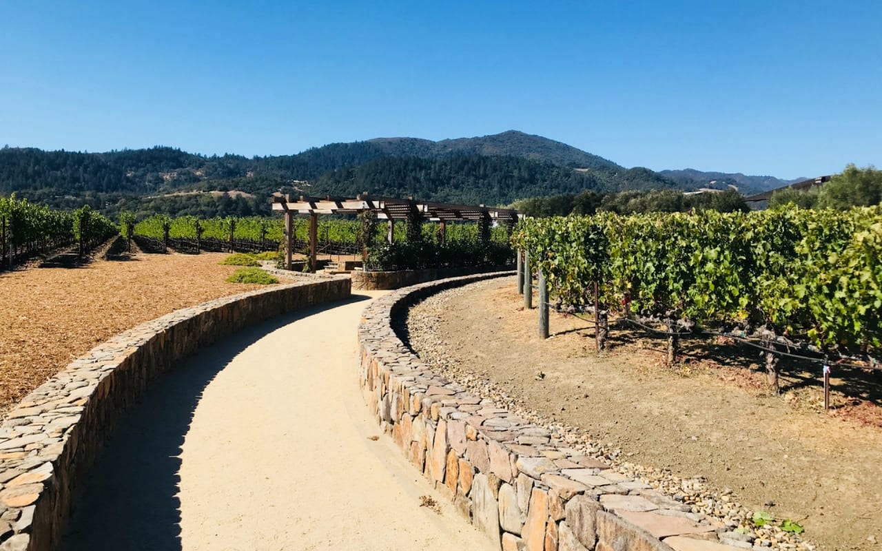 Napa Valley, St. Helena, & Yountville Homes | Lauren Lawson