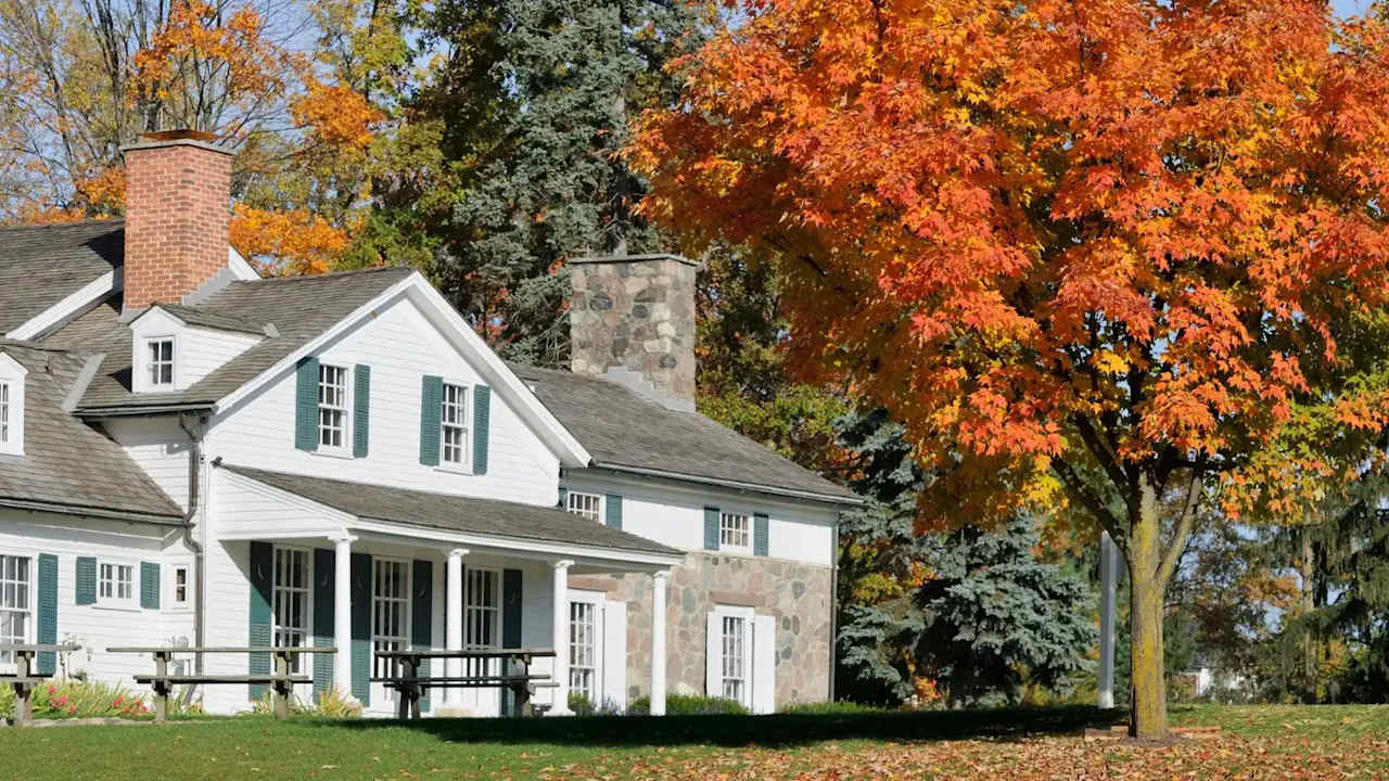 Realtors reveal 6 things you need to know about successfully selling your home in fall