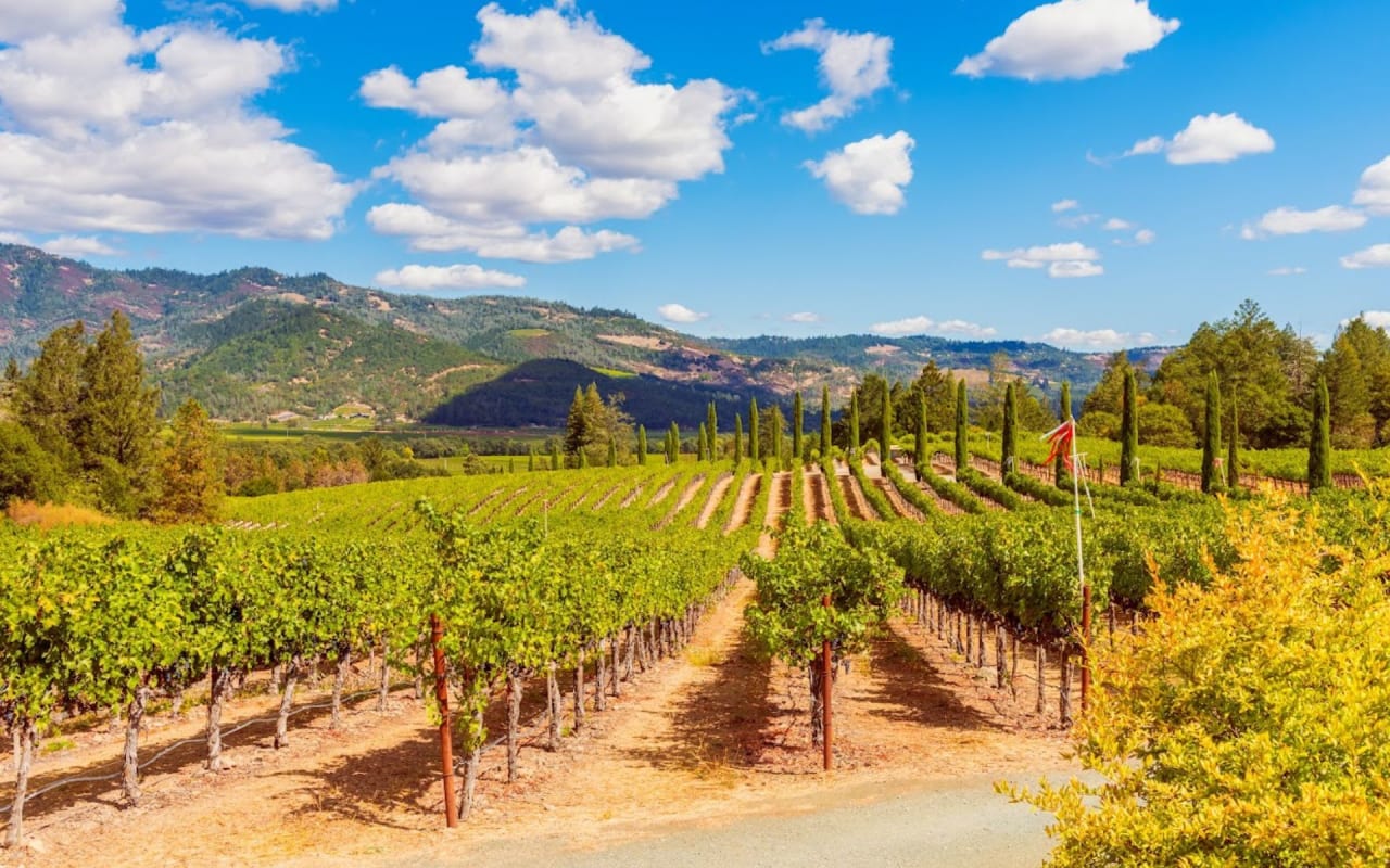 Napa Valley vs. Sonoma County: Which is Right for You