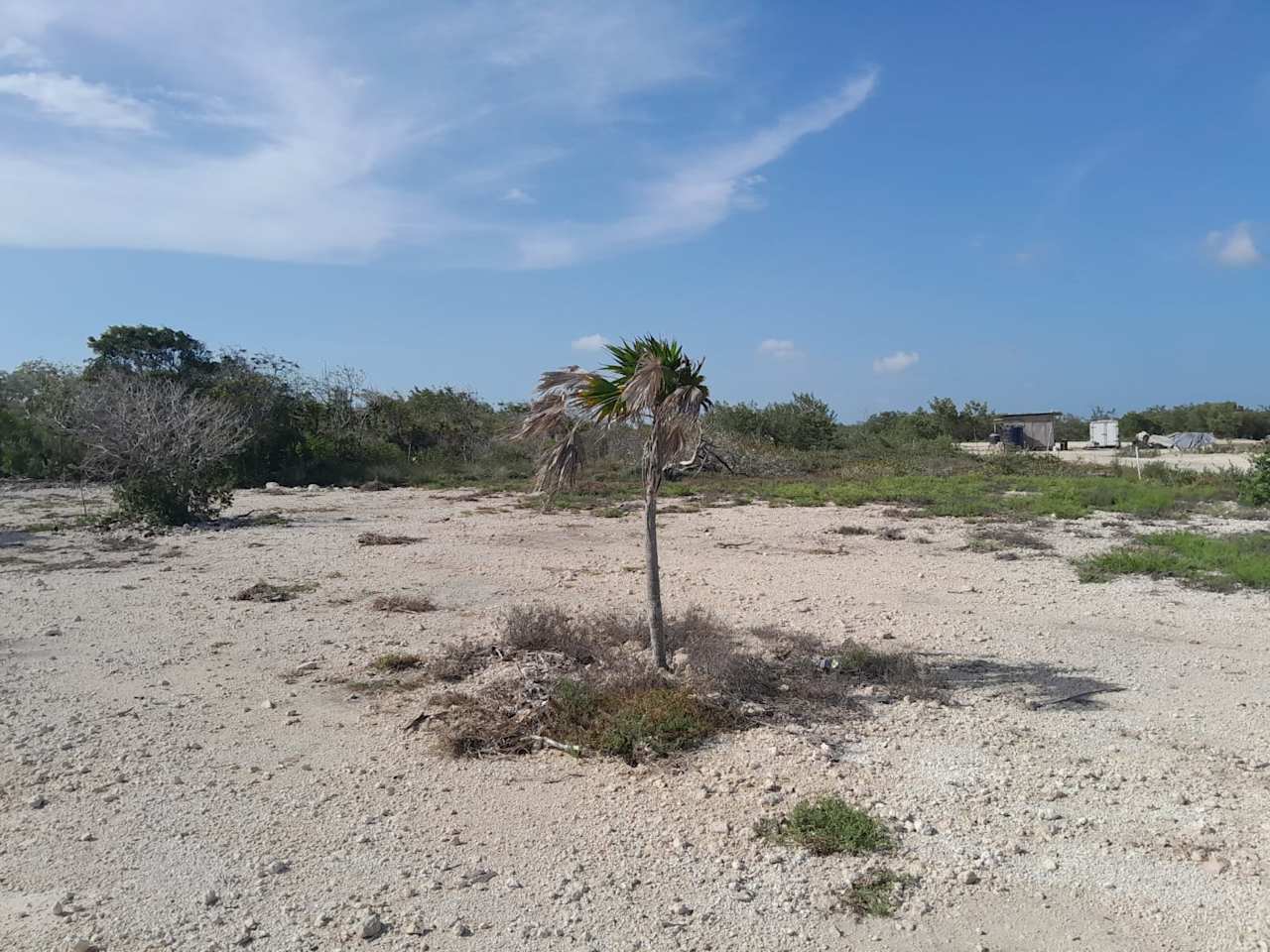 Sunset Haven on Secret Beach - 200 Feet of Pristine Caribbean Waterfront on Ambergris Caye, Belize