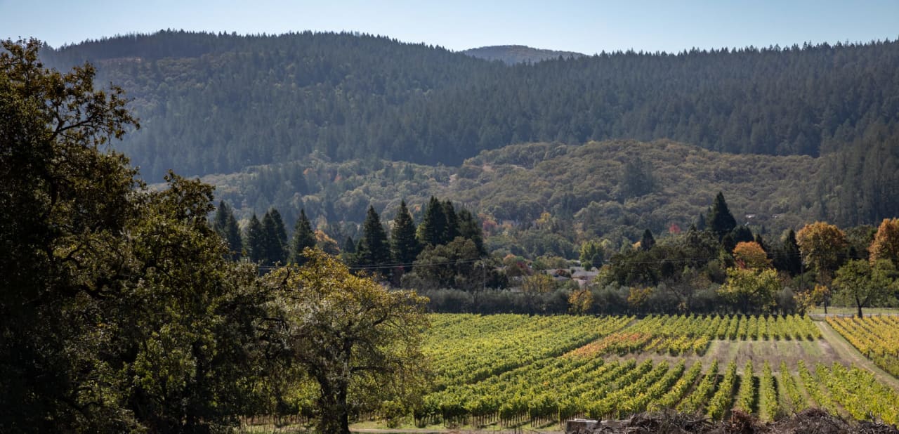 Sonoma Valley Winery For Sale