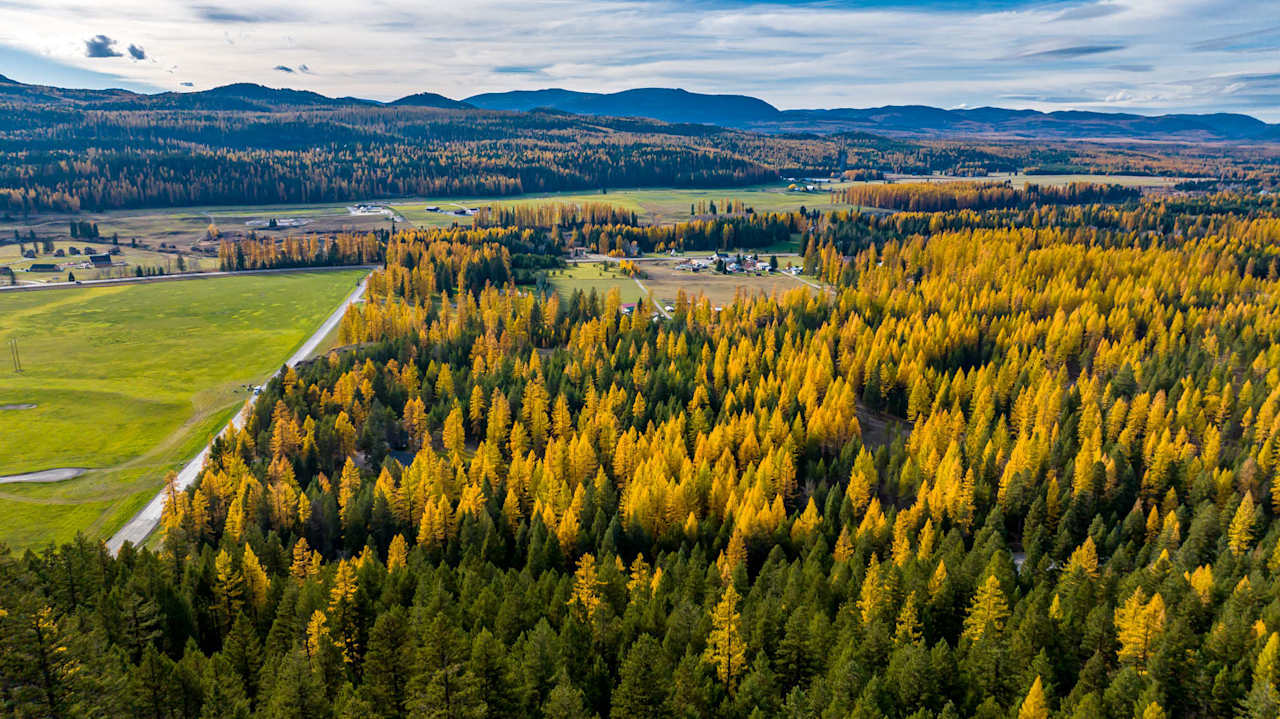 Whitefish Ridge Estates Community Guide Slezak Group Montana Real