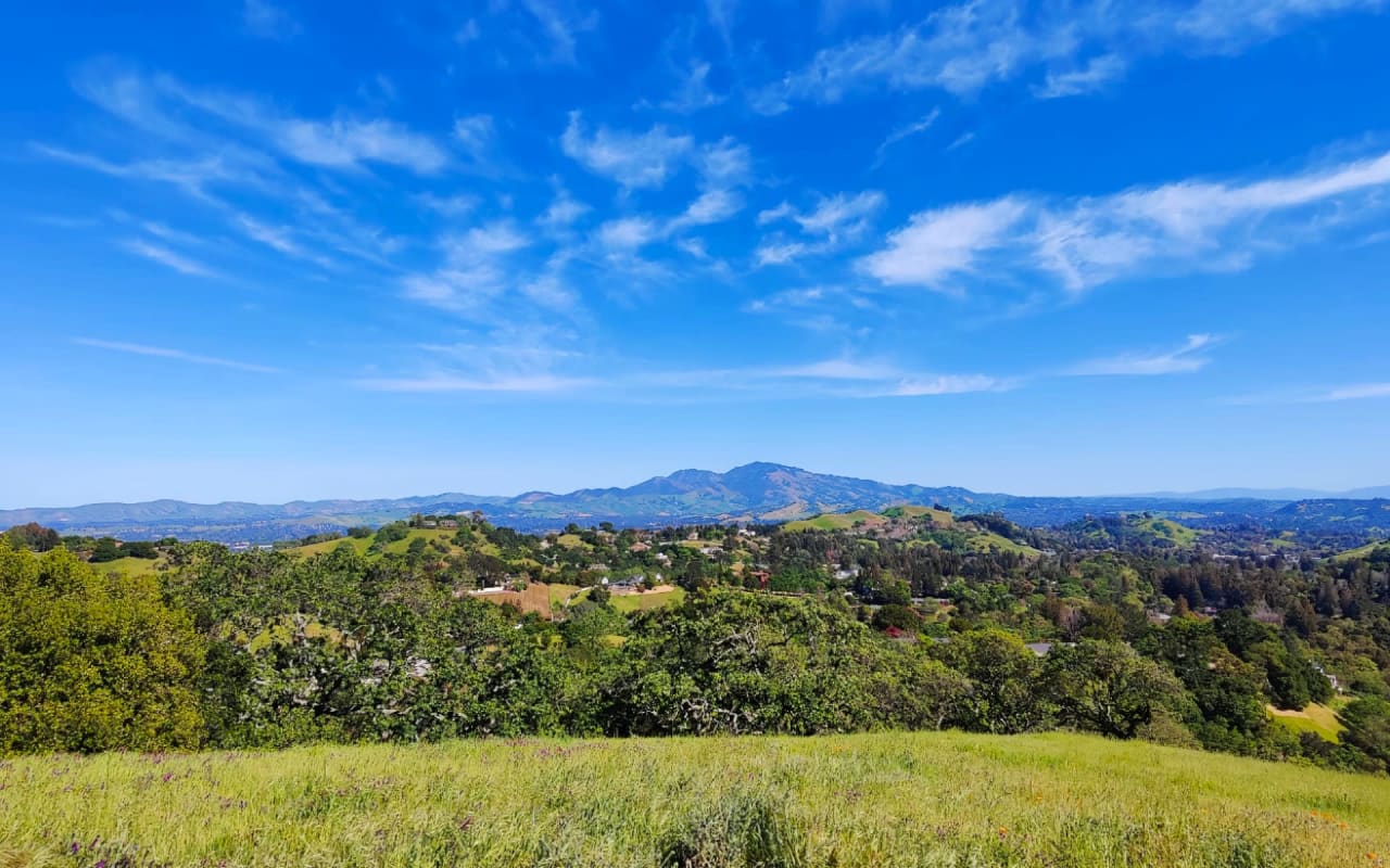 Moving to Lafayette, CA Everything You Need to Know