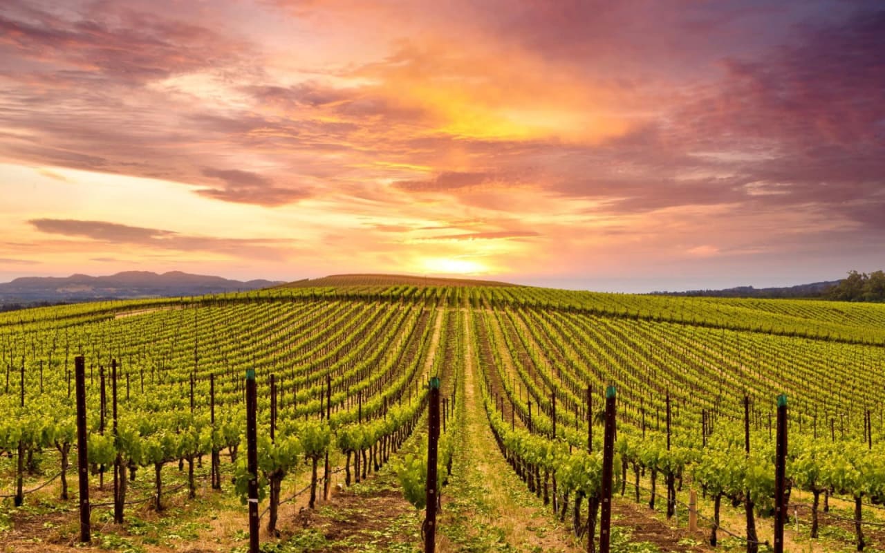 What Families Need to Look For When Choosing Napa Valley