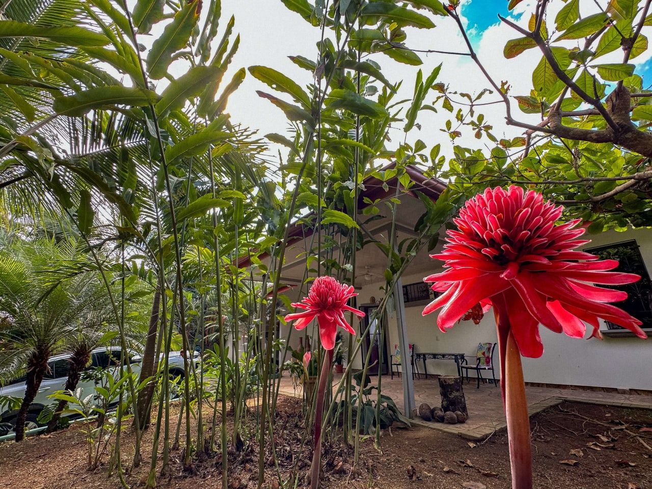 A 3-Bedroom Home With Spectacular Pacific Ocean View On The Edge Of Ojochal