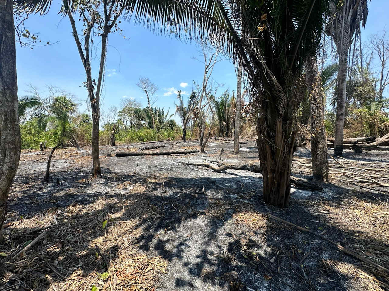 Large Residential  corner Lot in Camalote Village, Cayo District, Belize