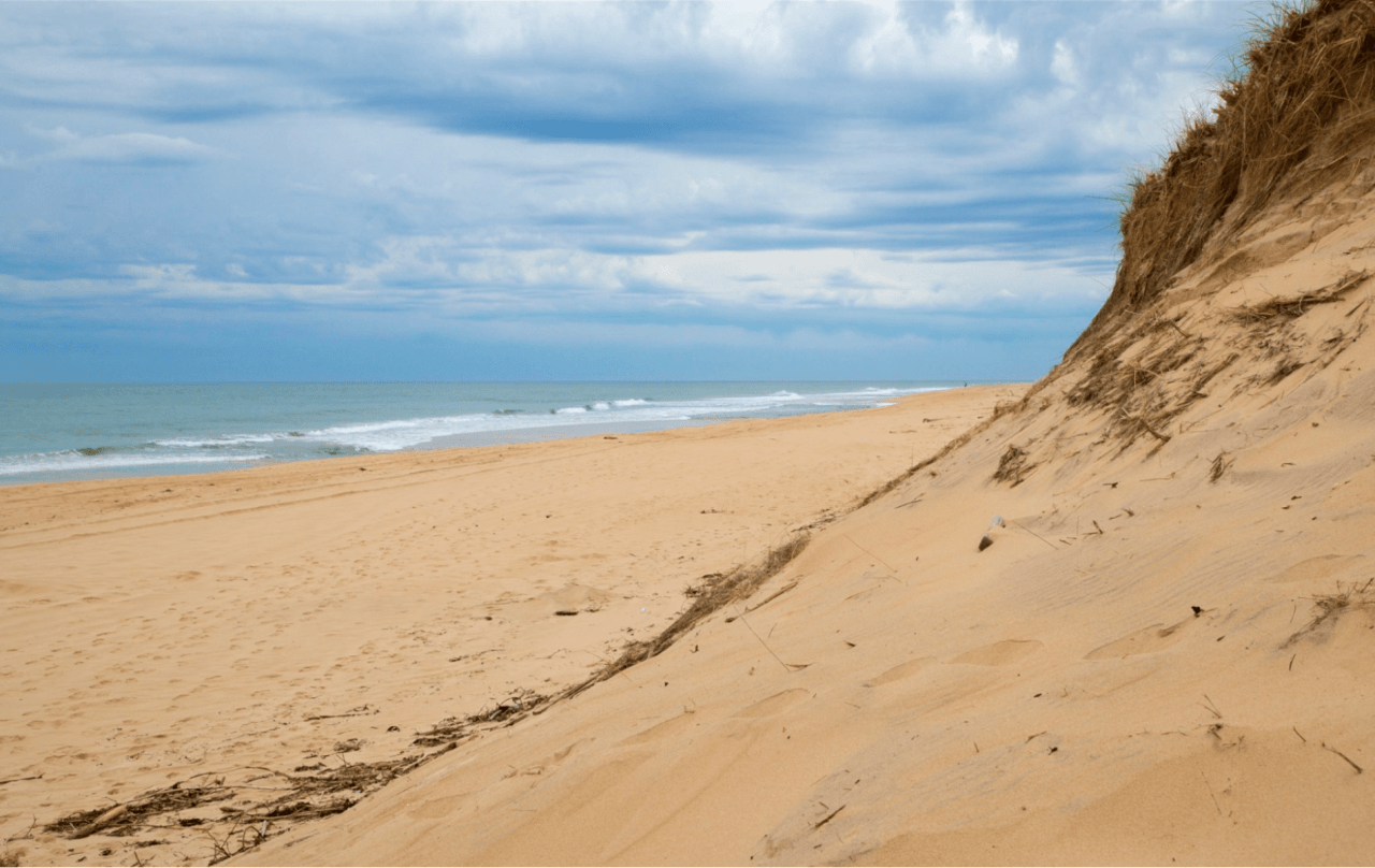 A Guide to Long Island NY Parks