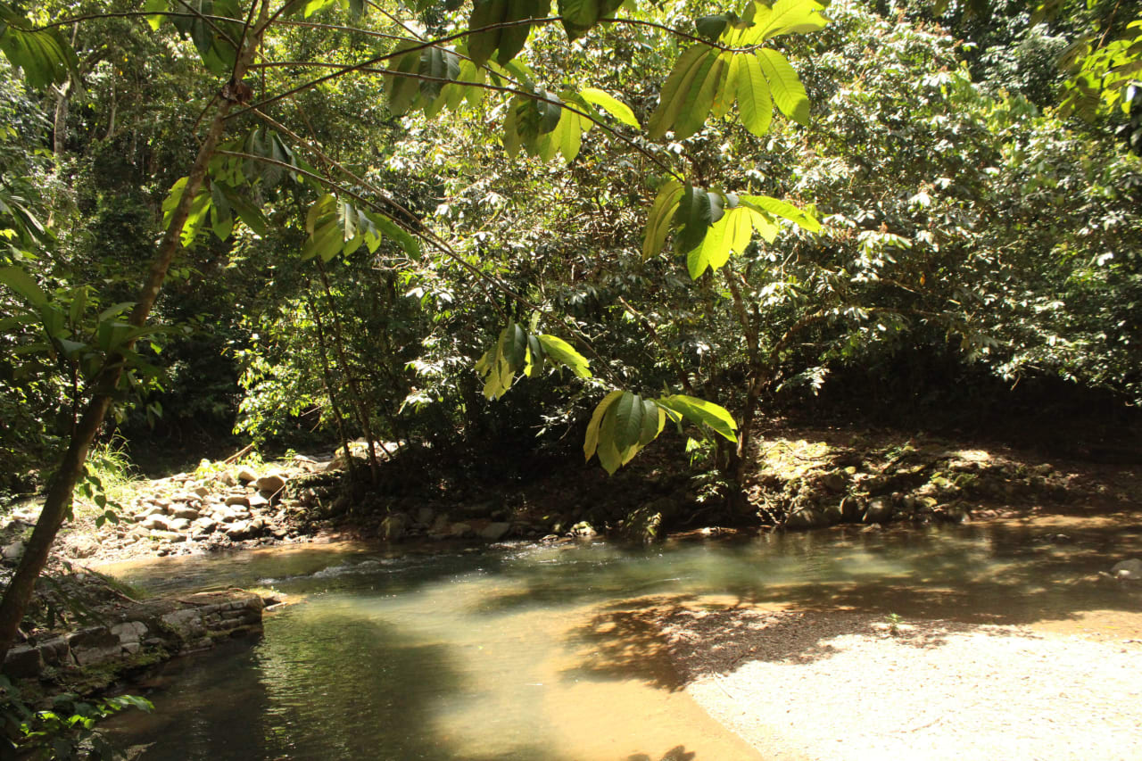 Wildlife Reserve Farm in Chontales.