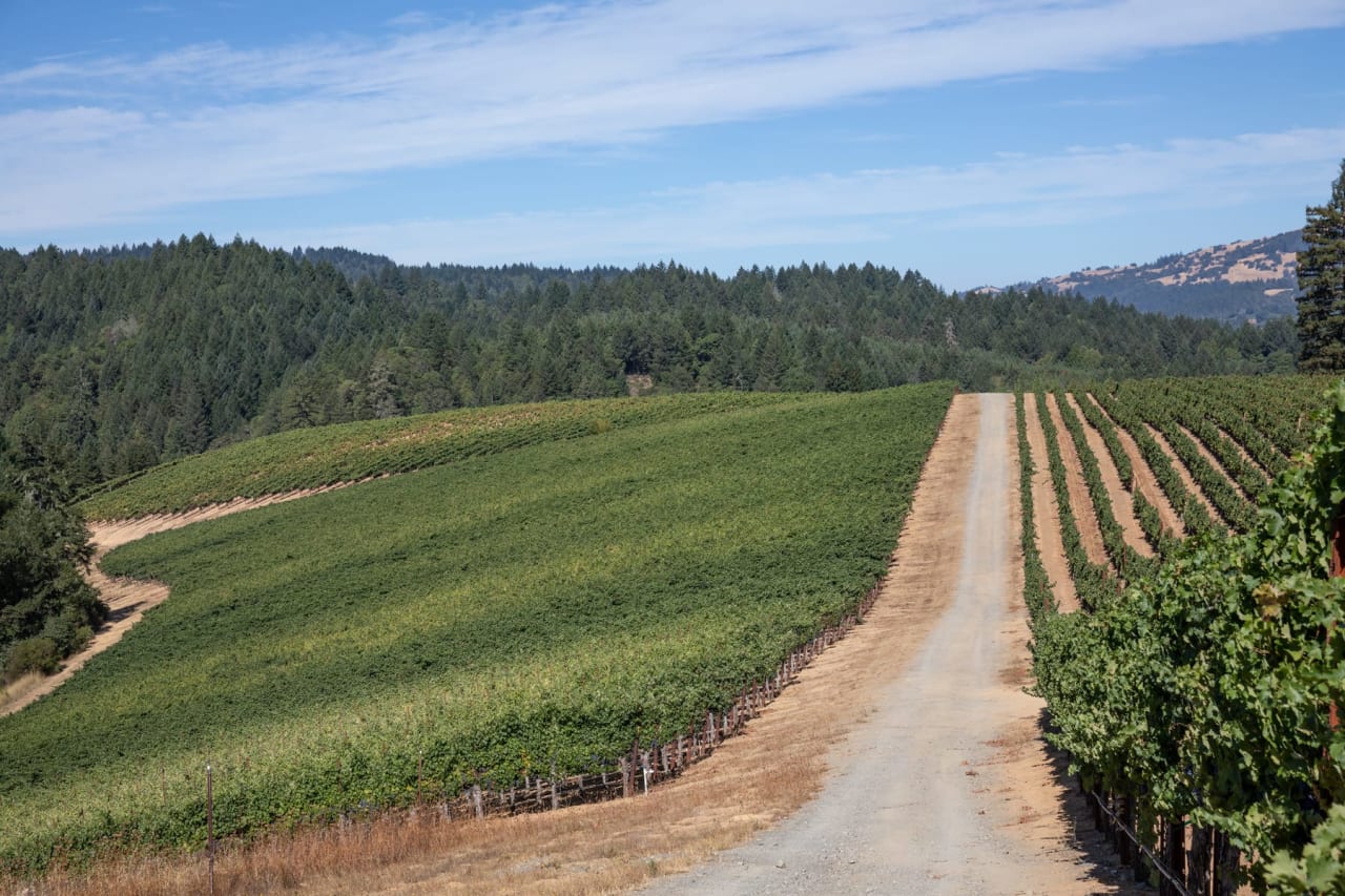 Yorkville Highlands Hillside Vineyard